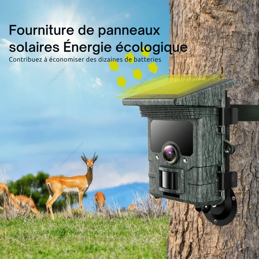 Caméra Solaire de Chasse 50MP 4K PIR 120° avec Vision Nocturne et Enregistrement Sonore – HC-600A®