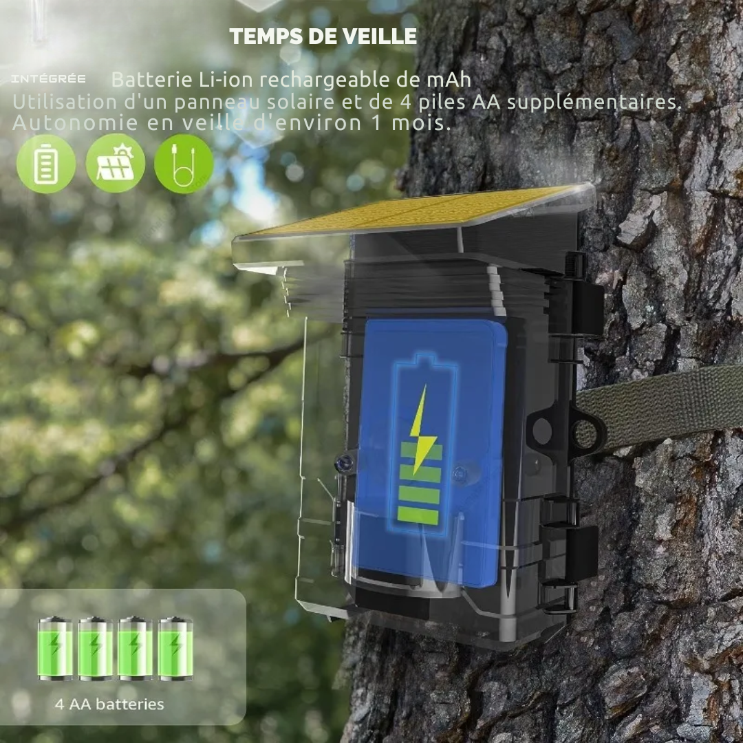 Caméra Solaire de Caméra Solaire de Chasse 50MP 4K PIR 120° avec Vision Nocturne et Enregistrement Sonore – HC-600A®