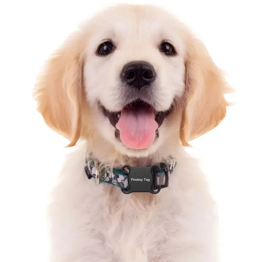 Collier Traceur GPS Noir pour Chien & Chat Suivi en Temps Réel - S-E®