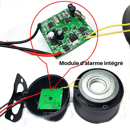 Kit Alarme Antivol Voiture 12V avec Sirène 10A et Télécommandes – Chadwick®