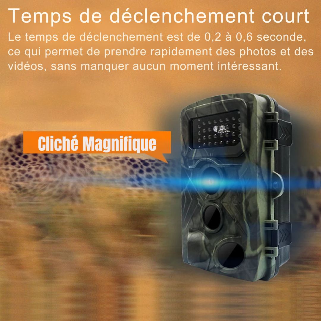 Mini Caméra de Chasse 1080P Full HD avec Vision Nocturne Infrarouge et Capteur de Mouvement – LIXADA®