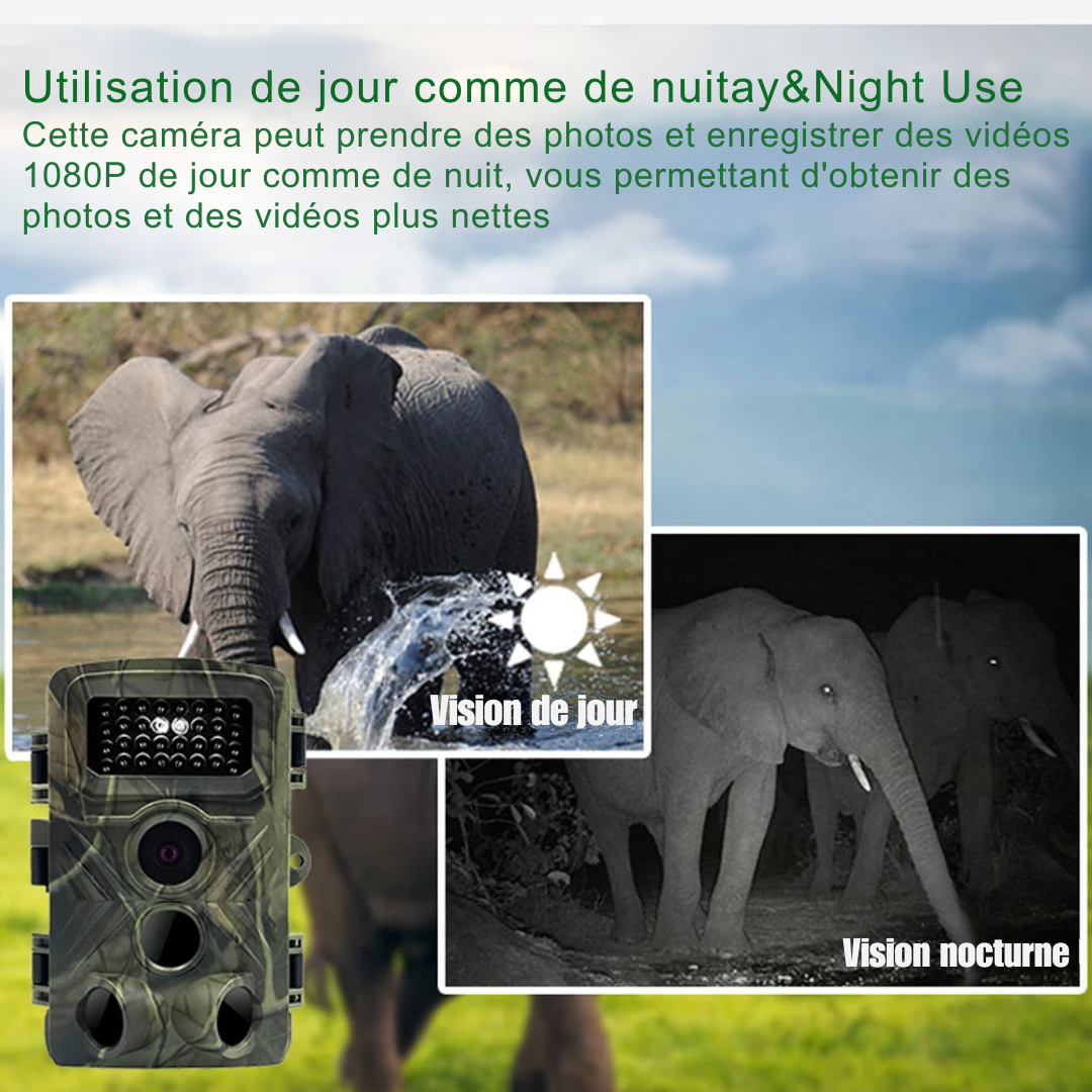 Mini Caméra de Chasse 1080P Full HD avec Vision Nocturne Infrarouge et Capteur de Mouvement – LIXADA®
