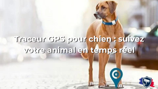 Traceur GPS pour chien : suivez votre animal en temps réel