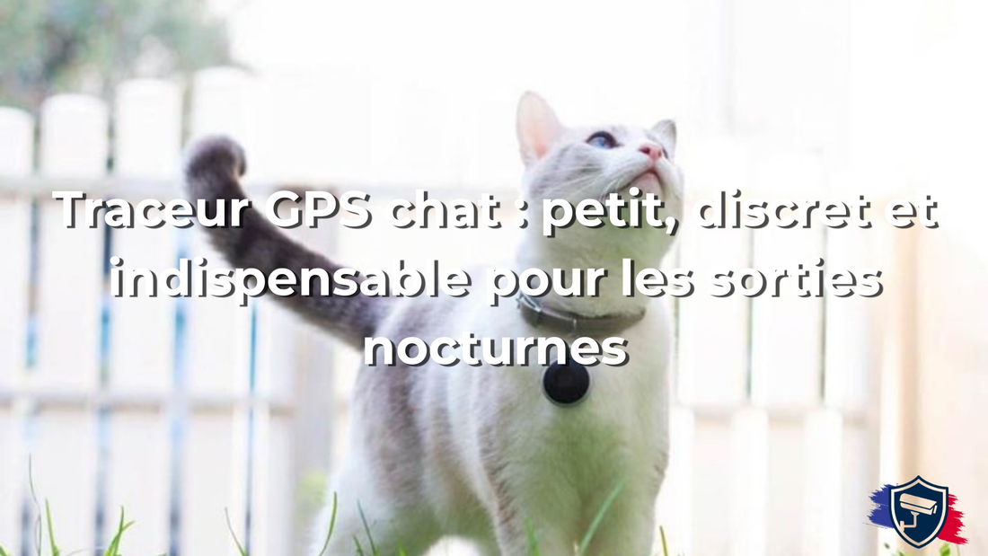 Traceur GPS chat : petit, discret et indispensable pour les sorties nocturnes