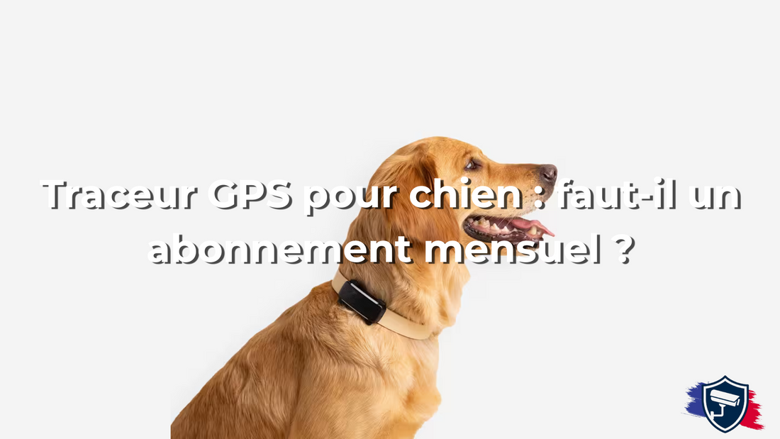 Traceur GPS pour chien : faut-il un abonnement mensuel ?